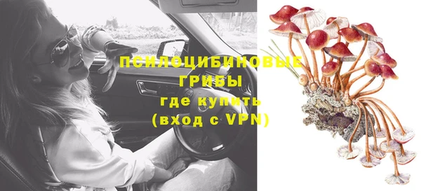индика Верхний Тагил