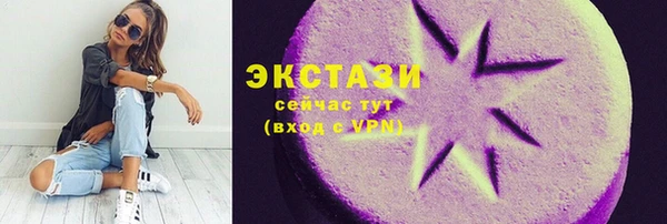 индика Верхний Тагил