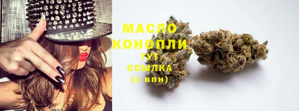 мдпв Верея