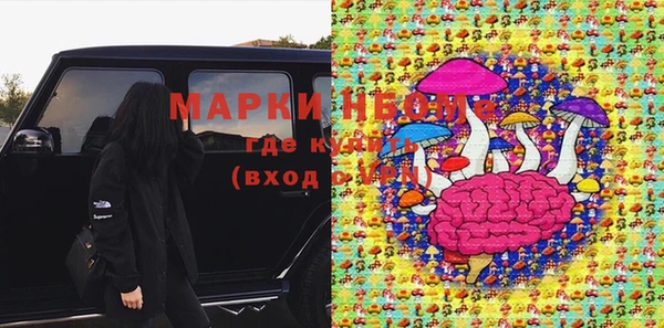 мдпв Верея