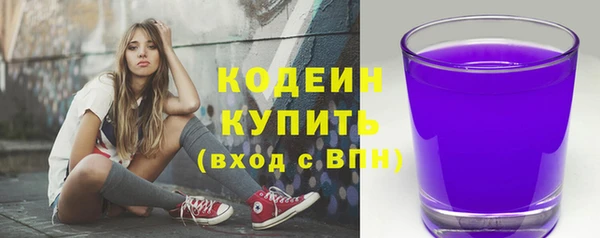 индика Верхний Тагил