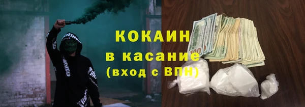 индика Верхний Тагил