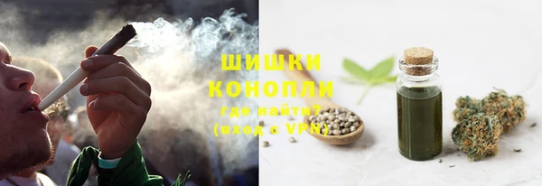 мдпв Верея