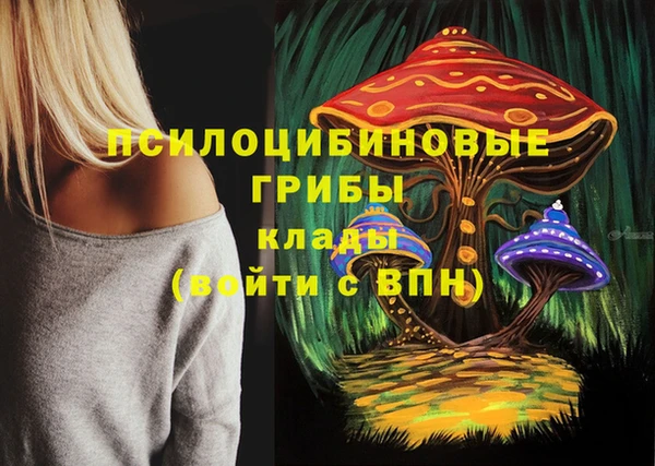 индика Верхний Тагил