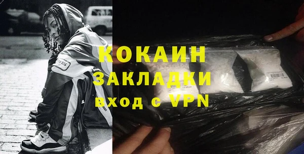 индика Верхний Тагил