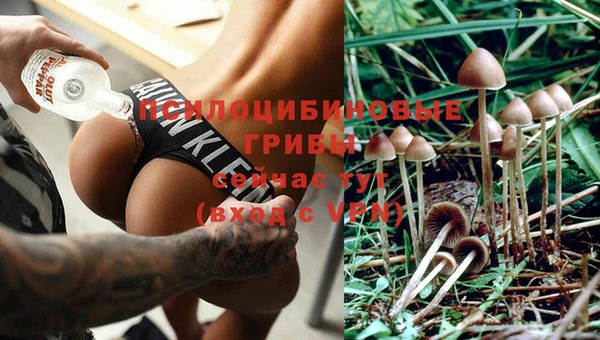 индика Верхний Тагил