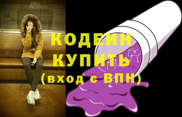 индика Верхний Тагил