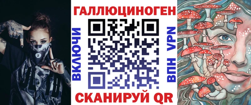 Псилоцибиновые грибы Psilocybe Клин